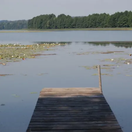 Gosciniec Wierzbowianka *